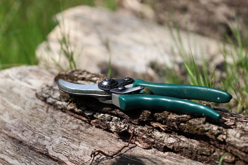 Spellbook Pruning Methods