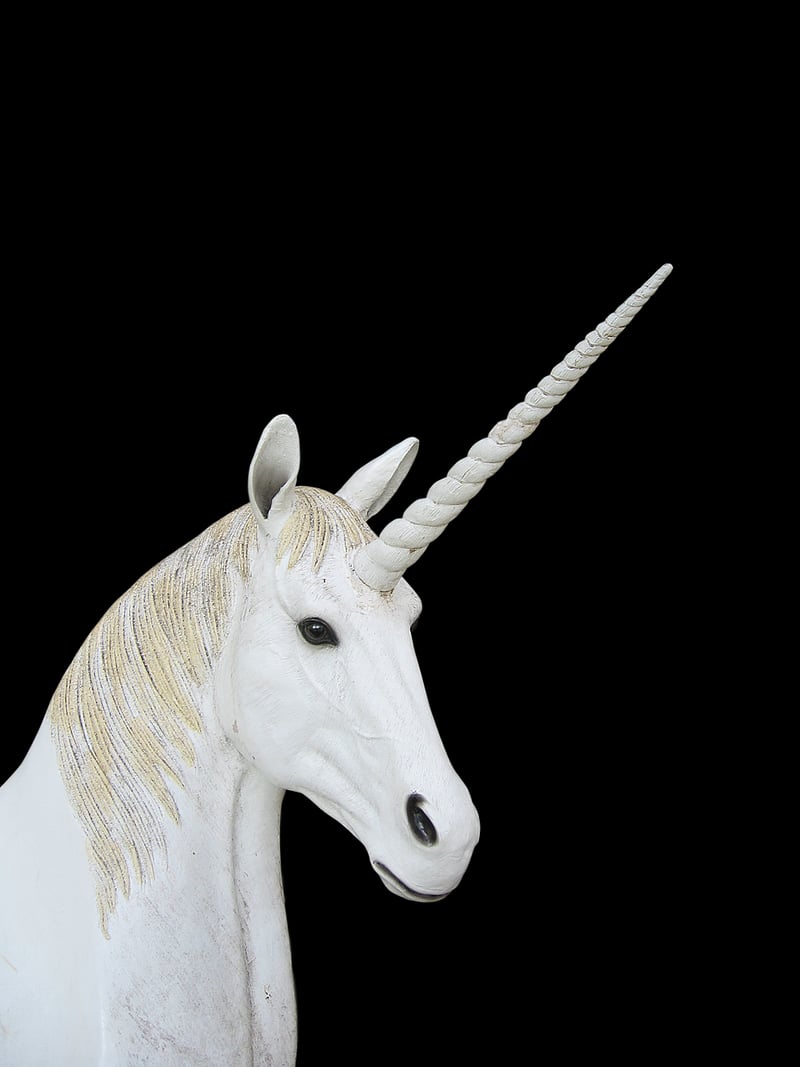 Unicorn Fruit Orchards