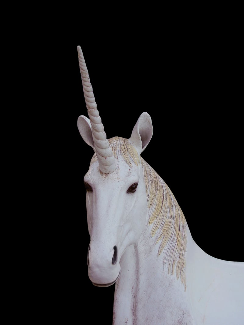 Unicorn Companion