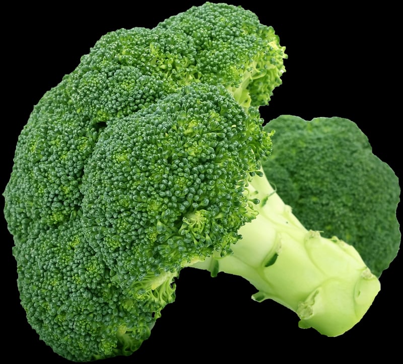 Homegrown Vegetables